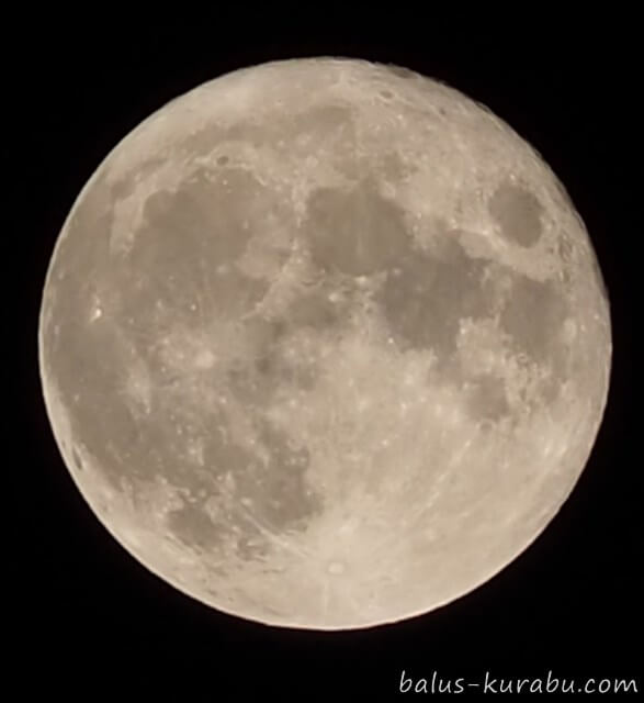 オリンパスで撮った月