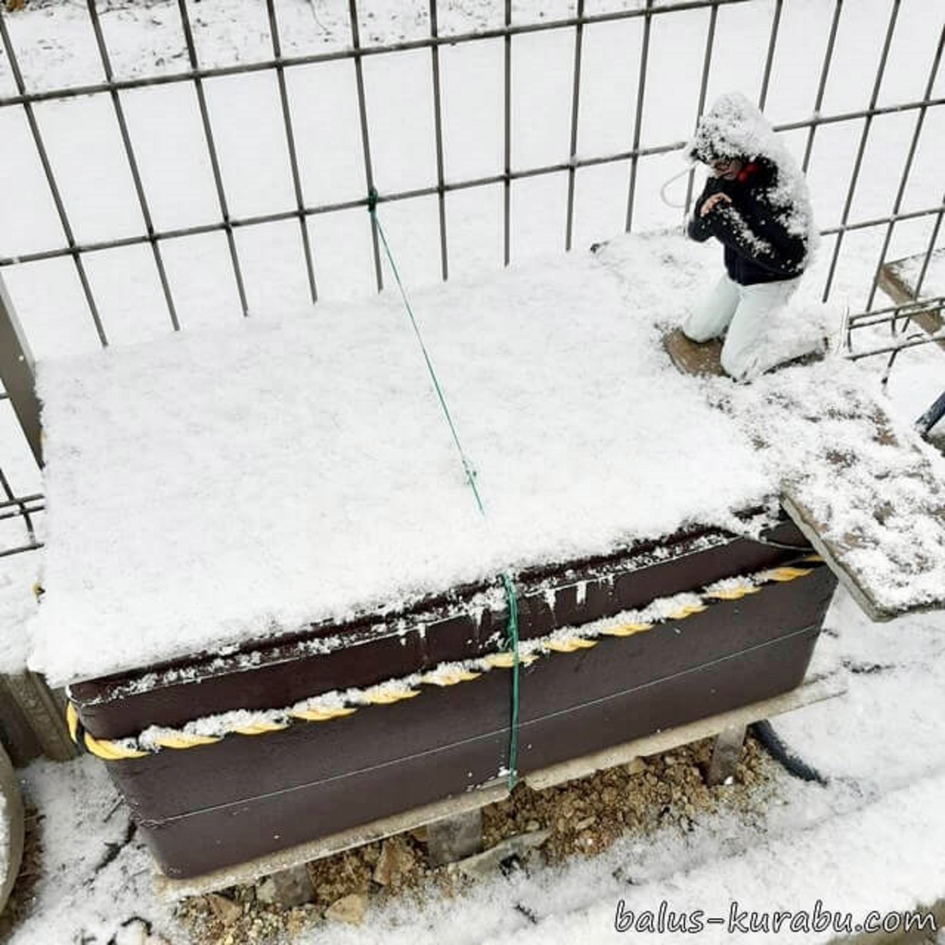 素人です 僕の水いじり ビオトープ発砲スチロールで屋外冬越し