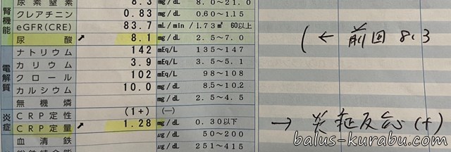 痛風時の血液検査で尿酸値8